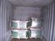 Гидрофильный крен/катушка алюминиевой фольги на кондиционирование воздуха 0.17mm * 100mm домочадца